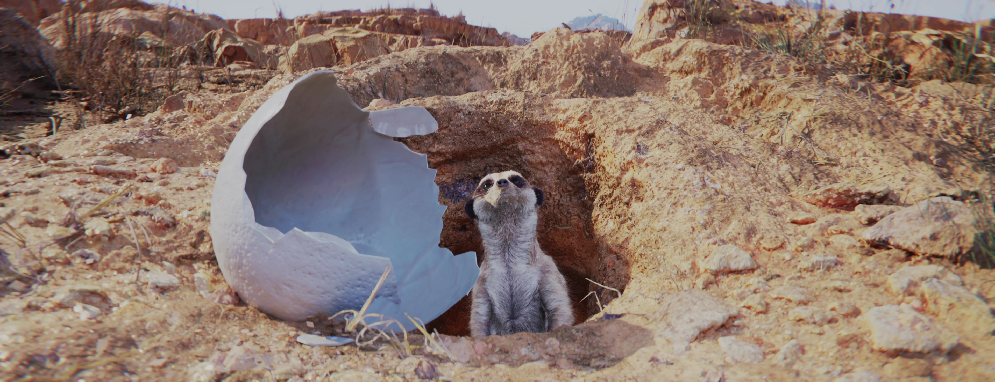 A meerkat searches the skies for the location of an eagle, with an egg beside it