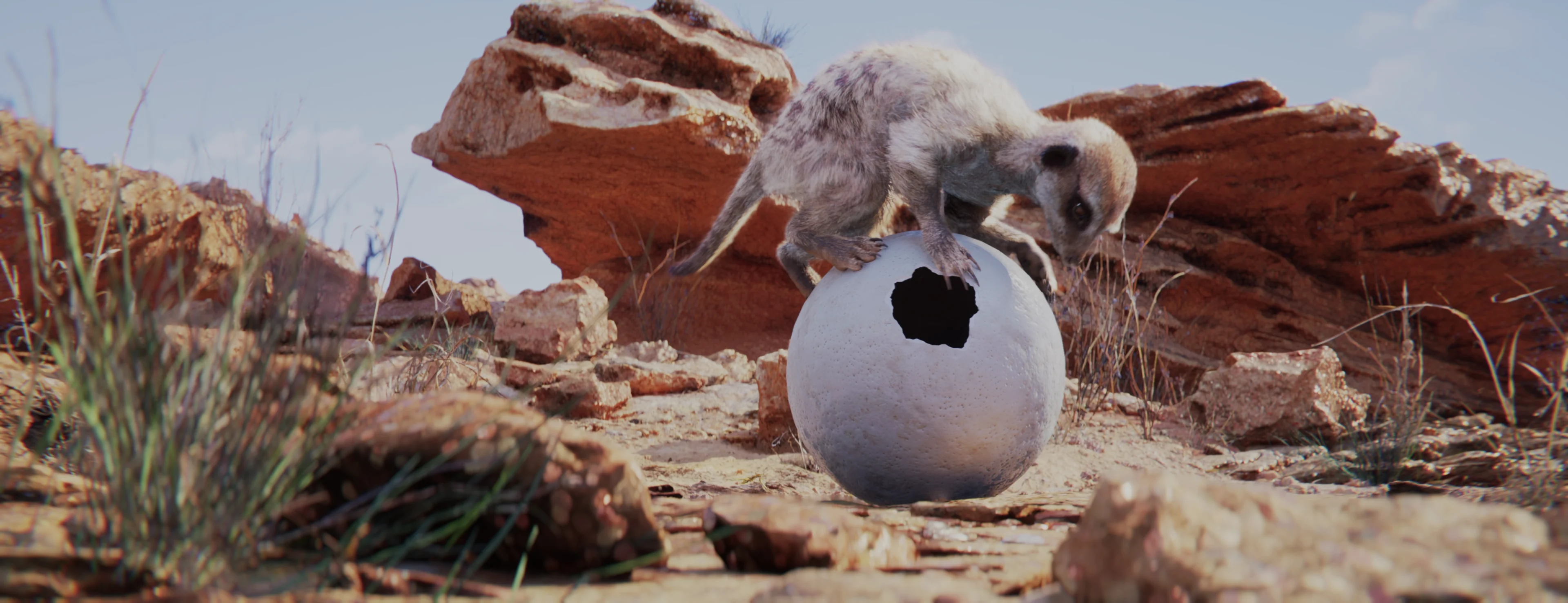 A meerkat balances atop a large egg in a desert