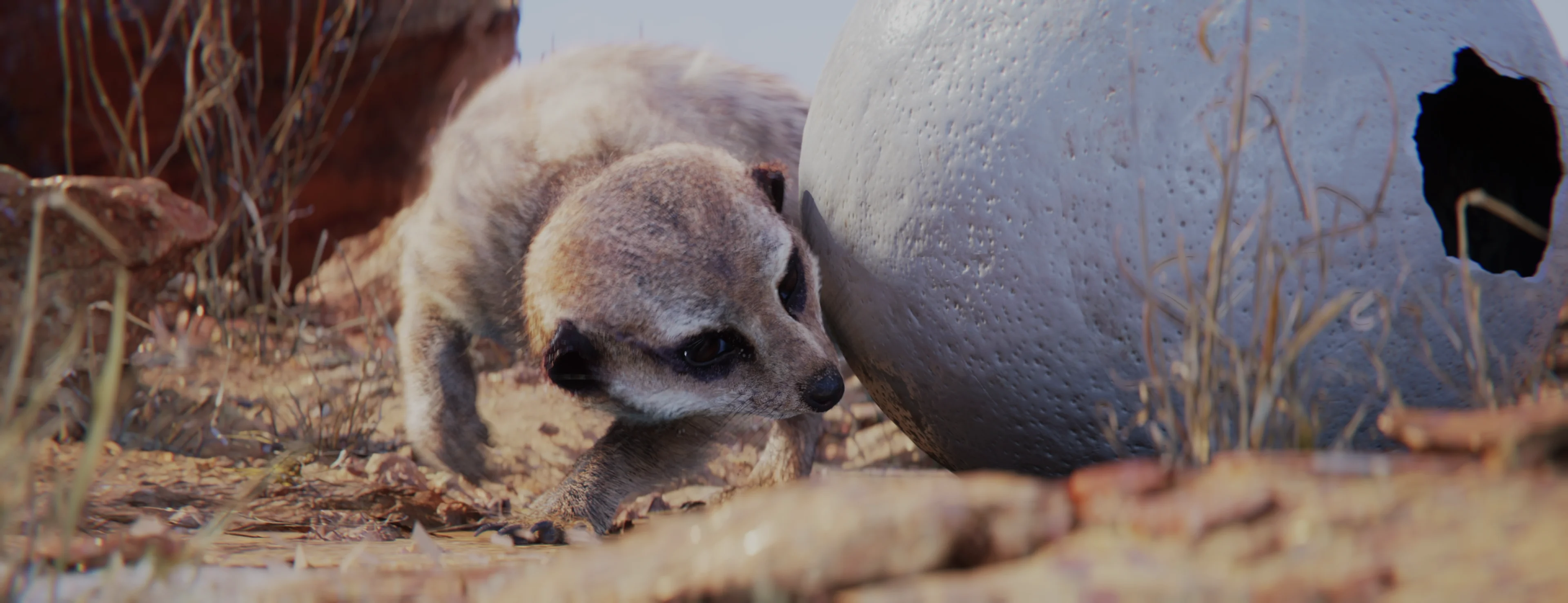 Snapshot of the frame which the YouTube thumbnail is based on. A meerkat investigates the outside of a large egg